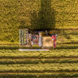 Agricultural Products